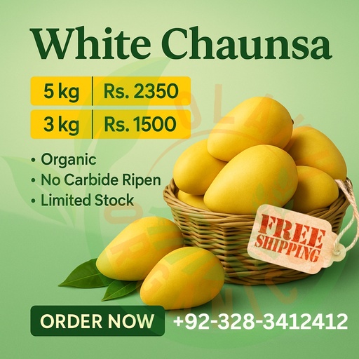 White Chaunsa ( Export Quality )