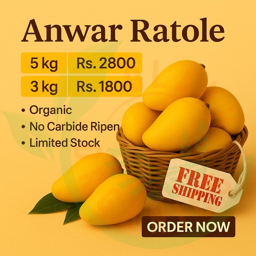 Anwar Ratol ( Export Quality ) 